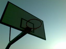 一呼百應(yīng)公司頻道 軟件開發(fā)領(lǐng)域的創(chuàng)新引擎與協(xié)作平臺(tái)